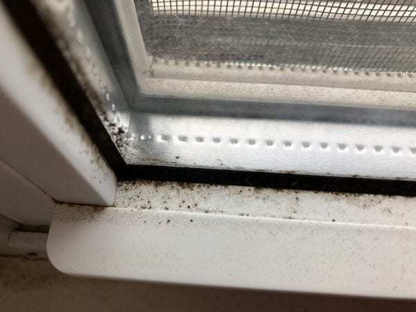 病菌在窗台上存活多久？
