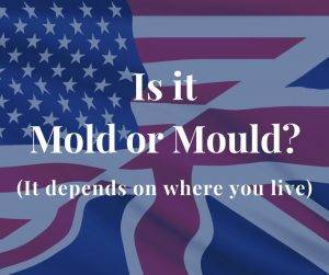 Mold 还是 Mould？这取决于生活的地区。
